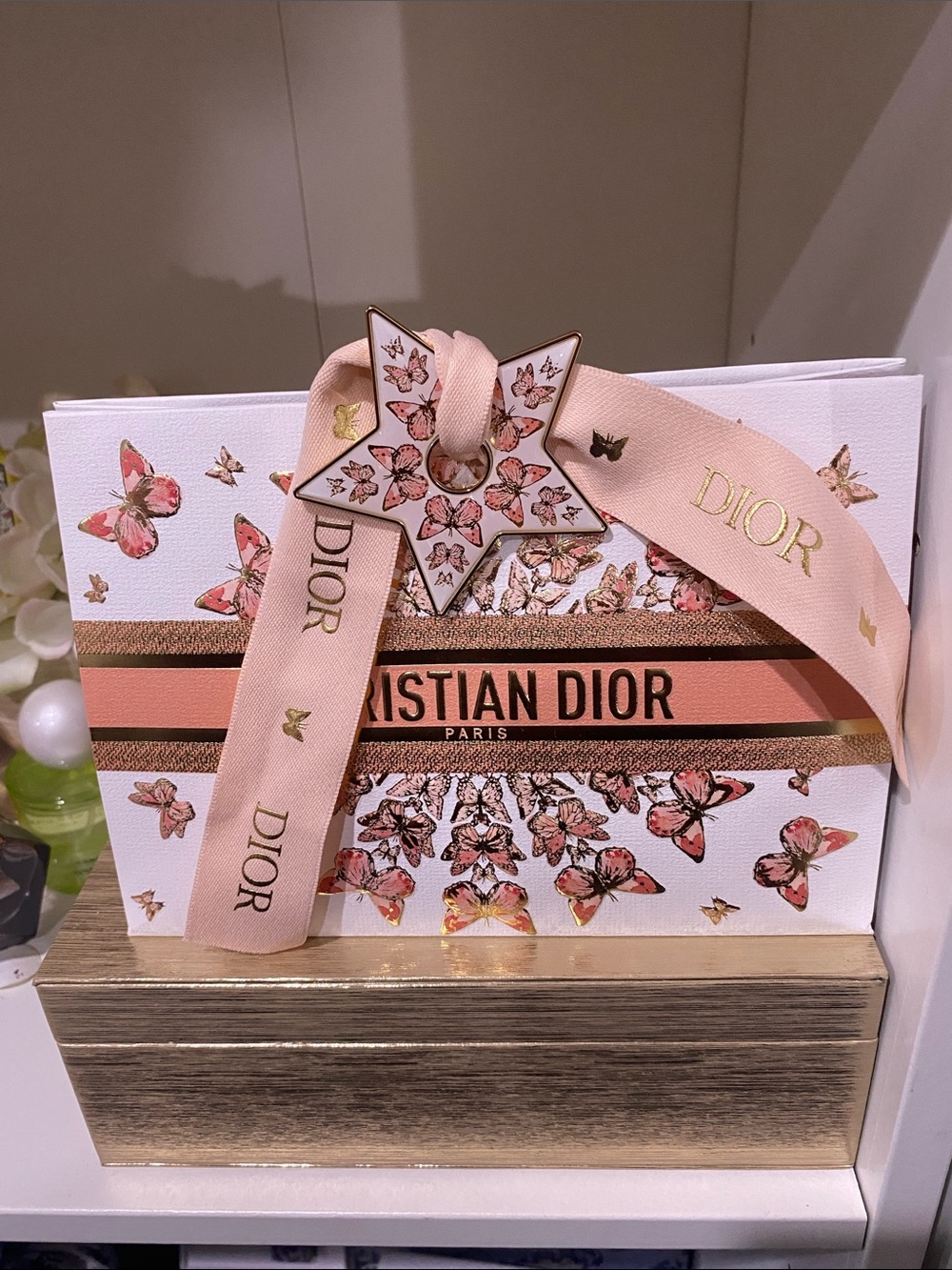 Dior Gift Bag with Star-Shaped Enamel with Gold Butterfly Accents